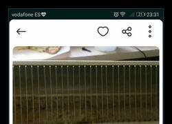 Enlace a Sinceridad como técnica de marketing