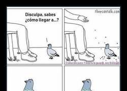 Enlace a Con razón nos dejan los coches perdidos...
