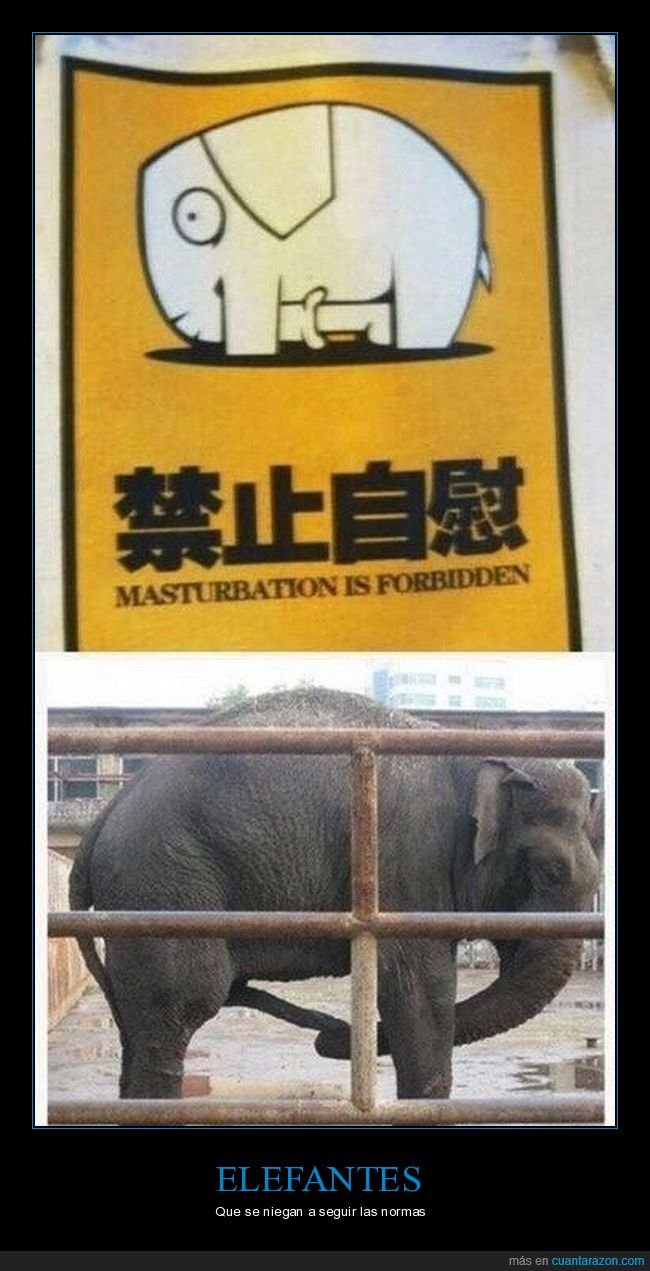 elefante,cartel,prohibición