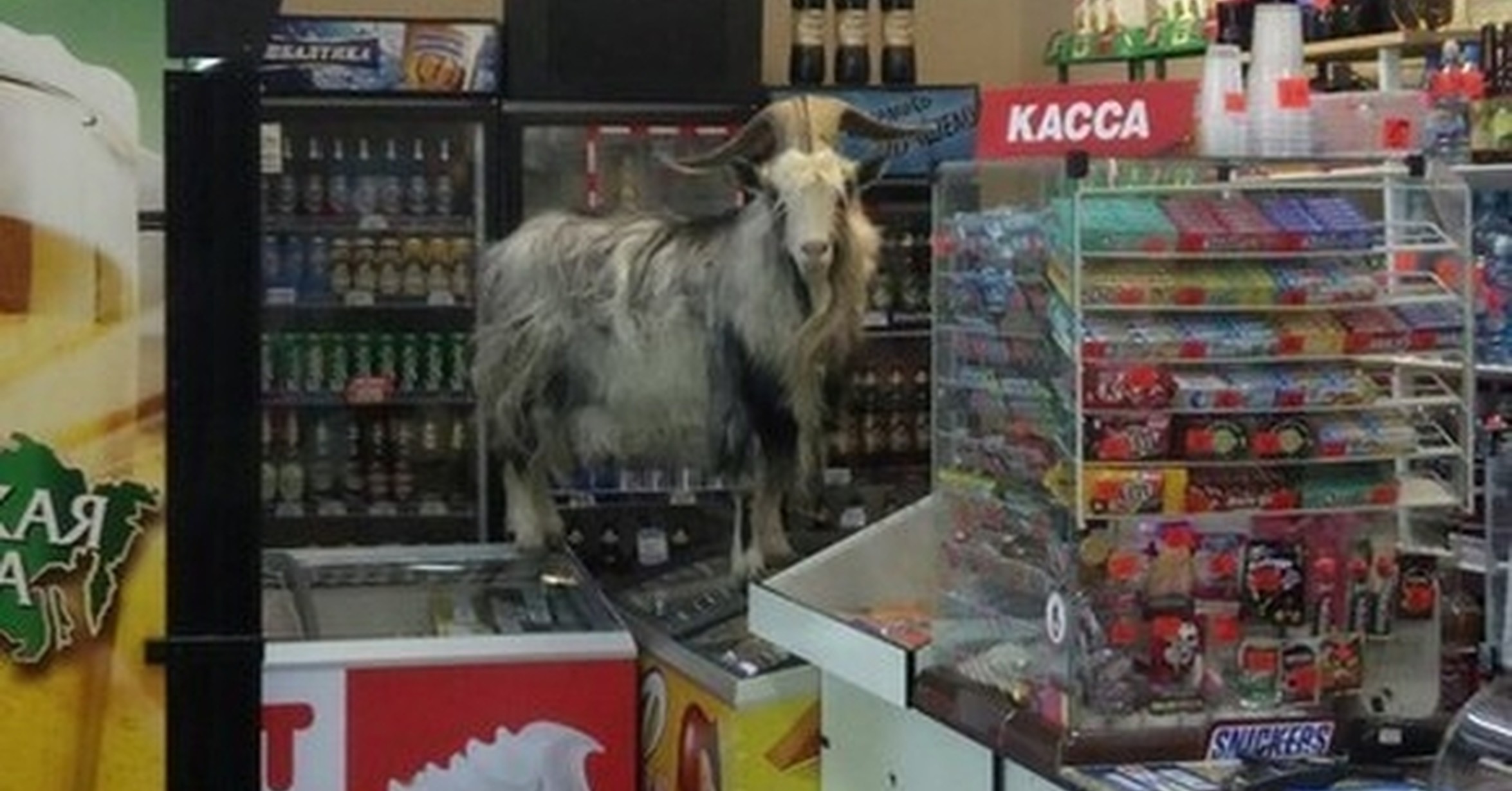 ¡Cuánta razón! / Qué mal rollo...