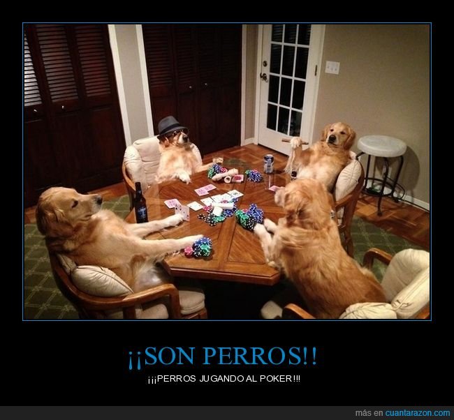 perros,jugando,poker