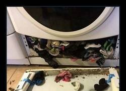 Enlace a La leyenda era cierta