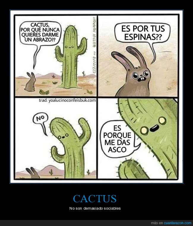 cactus,abrazo,espinas,asco