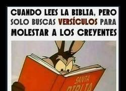 Enlace a Gente a la que le gusta pinchar
