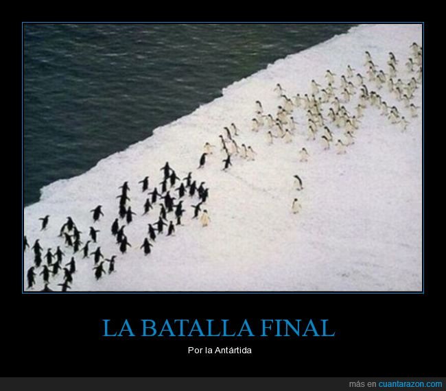 pingüinos,batalla,antártida