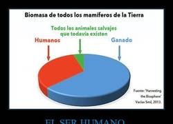 Enlace a El impacto del ser humano sobre la Tierra
