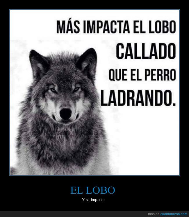 Cuanta Razon El Impacto Del Lobo