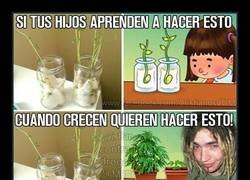 Enlace a ¡Es una conspiración!