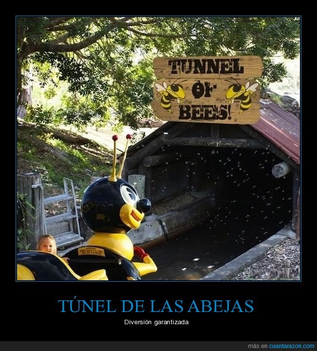 túnel,abejas,atracción
