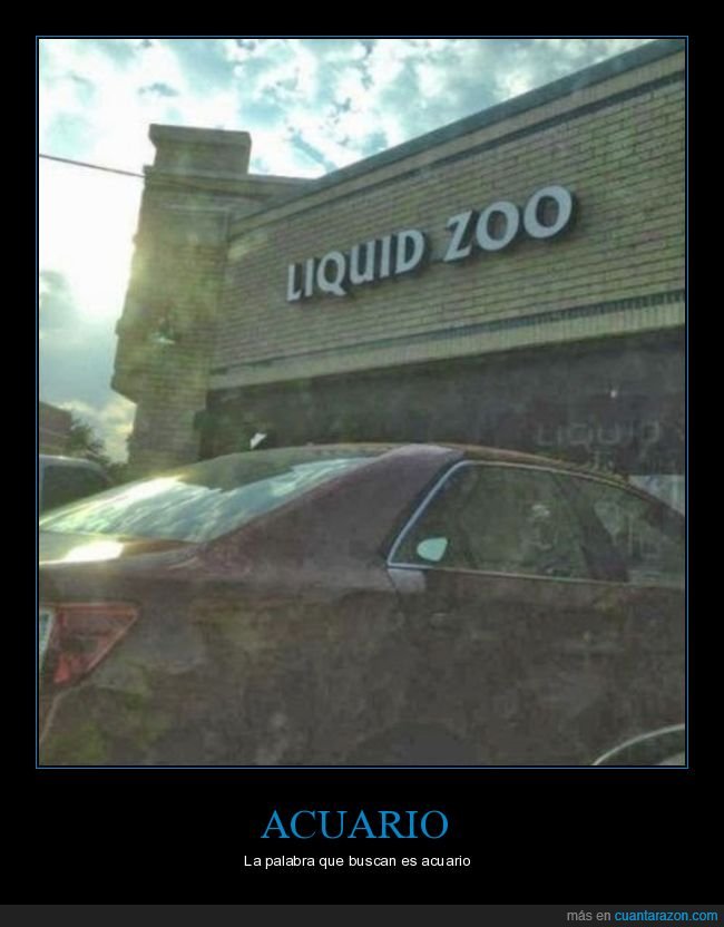 zoo líquido,acuario,wtf