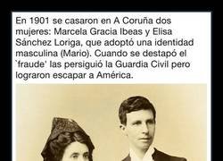 Enlace a El primer matrimonio homosexual de España