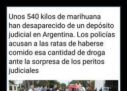 Enlace a Había que intentarlo...