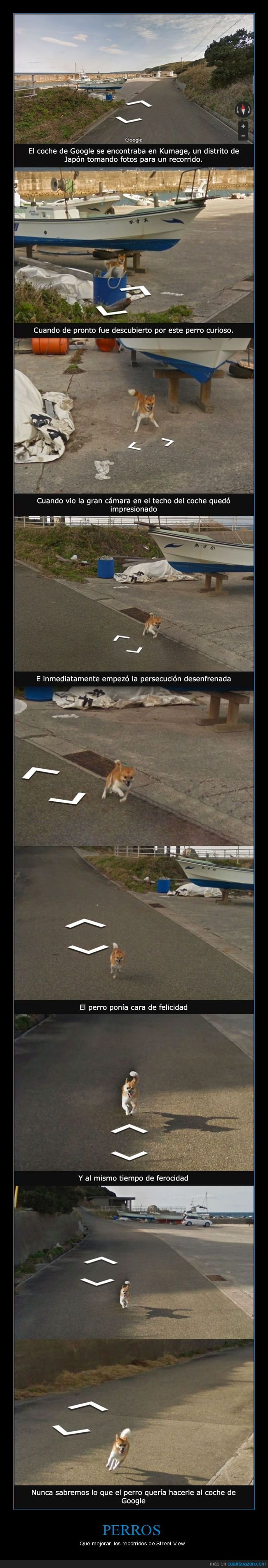 perro,coche,google,street view