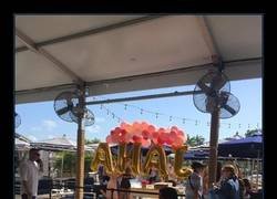 Enlace a Felicidades Jana