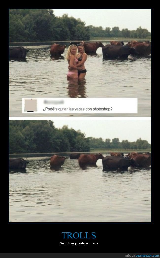 chicas,lago,trolling,vacas