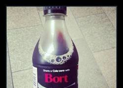 Enlace a Mi hijo también se llama Bort