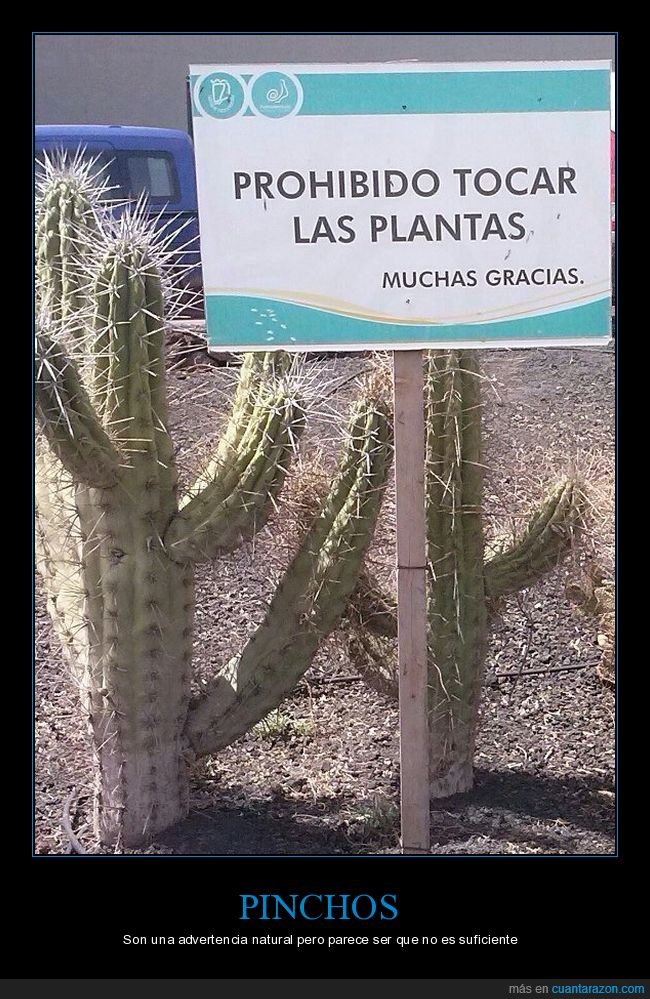 pinchos,cactus,cartel,prohibición,tocar,plantas