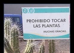 Enlace a Las advertencias de la naturaleza ya no sirven