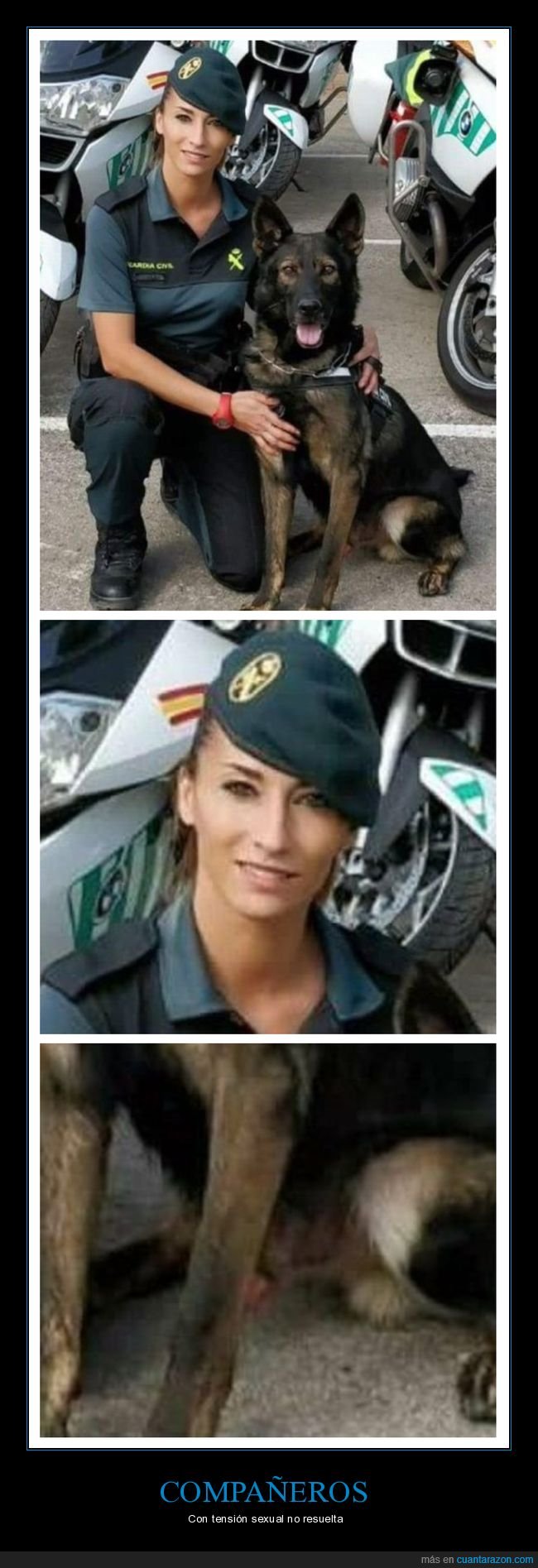 guardia civil,perro,wtf