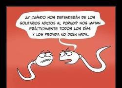 Enlace a Nadie piensa en ellos...