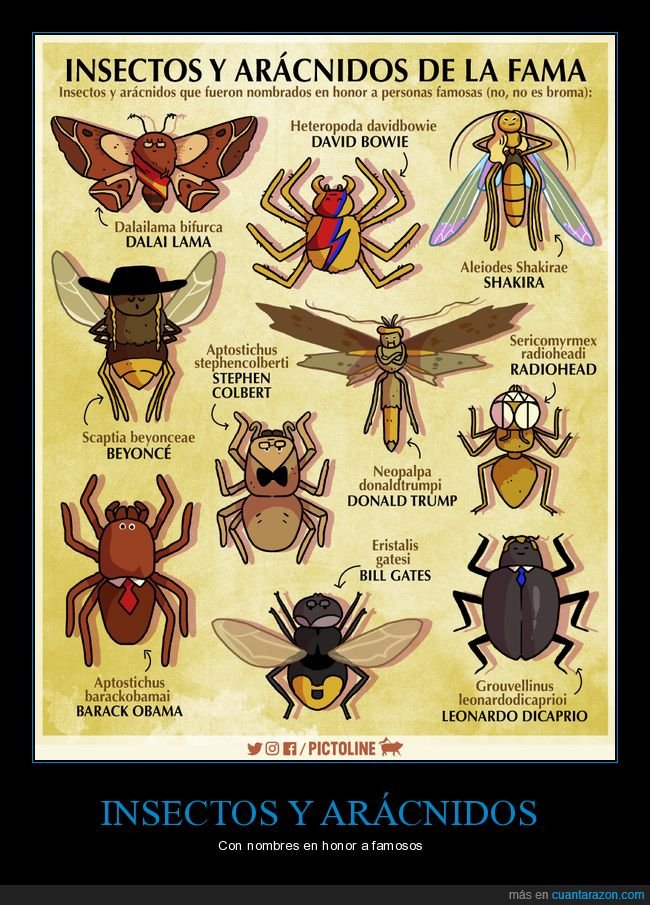 insectos,arácnidos,nombres,famosos