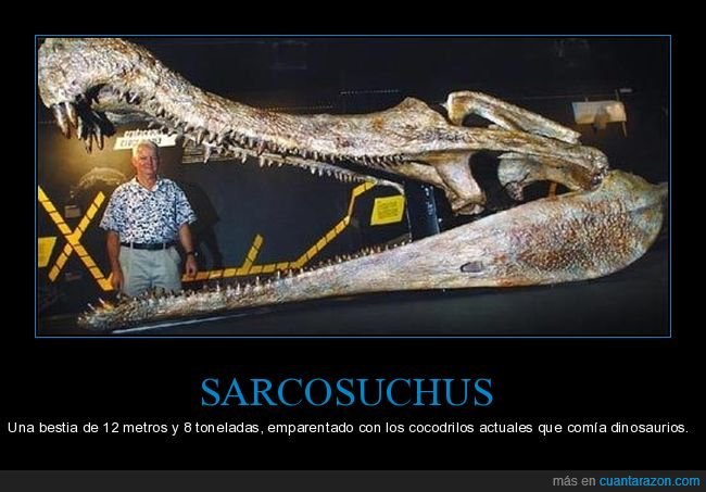 sarcosuchus,animal,extinto,curiosidades