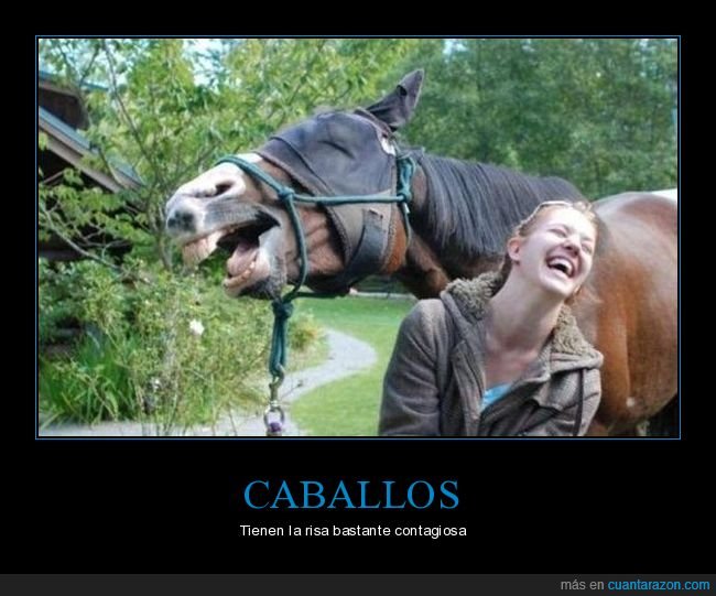 caballo,riendo