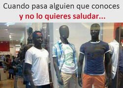 Enlace a Maestro del camuflaje