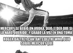 Enlace a Datos sobre Freddie Mercury que la mayoría de la gente no sabe