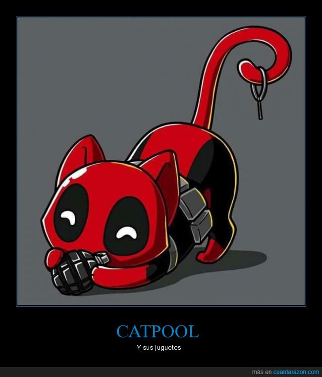 catpool,deadpool,gato