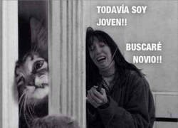 Enlace a Huelen la soltería a kilómetros