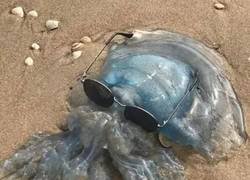 Enlace a Aquí, sufriendo...