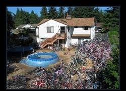 Enlace a El Diógenes de las bicicletas