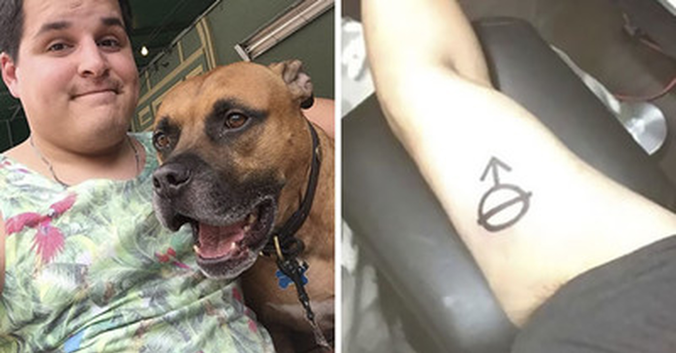 Татуировка кастрированной собаки