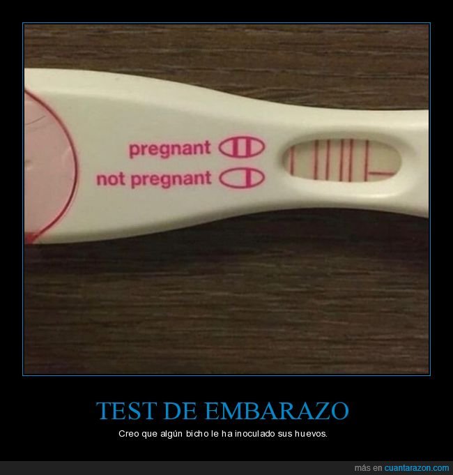 test de embarazo,wtf