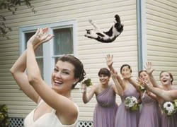 Enlace a El clásico lanzamiento de gato