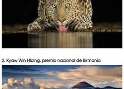 Enlace a Las Impresionantes fotografías ganadoras del Sony World Photography National Awards 2018