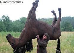 Enlace a Creo que así no se monta a caballo...