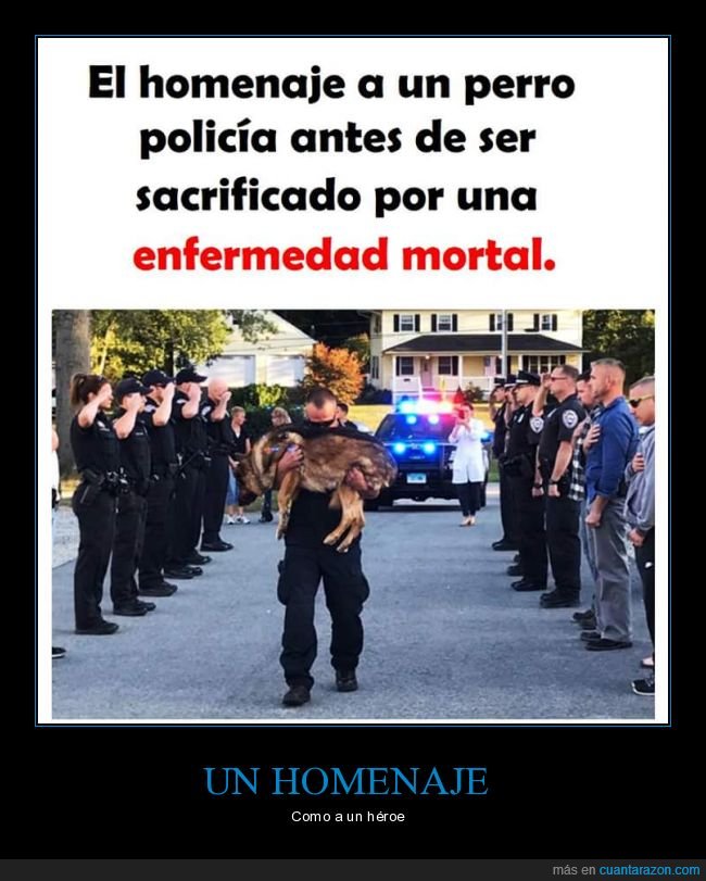 homenaje,perro,policía