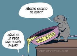 Enlace a No fue una una buena idea