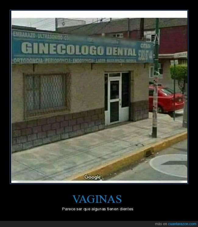 ginecólogo,dental,wtf