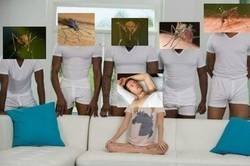 Enlace a Noches de verano