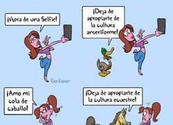 Enlace a Apropiación cultural