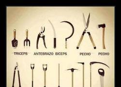 Enlace a El gimnasio de antaño