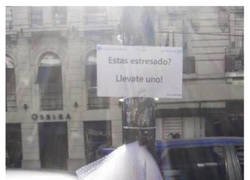 Enlace a Creo que me los llevaré todos