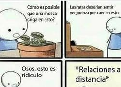 Enlace a Cayendo en la trampa