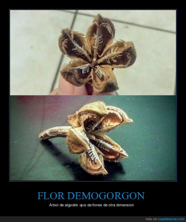 demogorgon,flor,stranger things