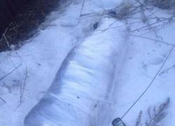 Enlace a La naturaleza nunca deja de sorprendernos