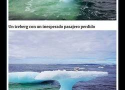 Enlace a Estos pescadores creyeron ver una foca sobre un iceberg, hasta que miraron más de cerca