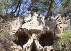 Enlace a Por el poder de Grayskull